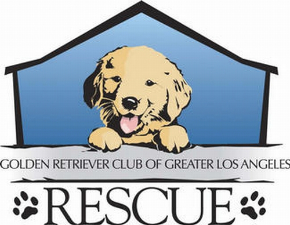 golden retriever rescue of greater los angeles