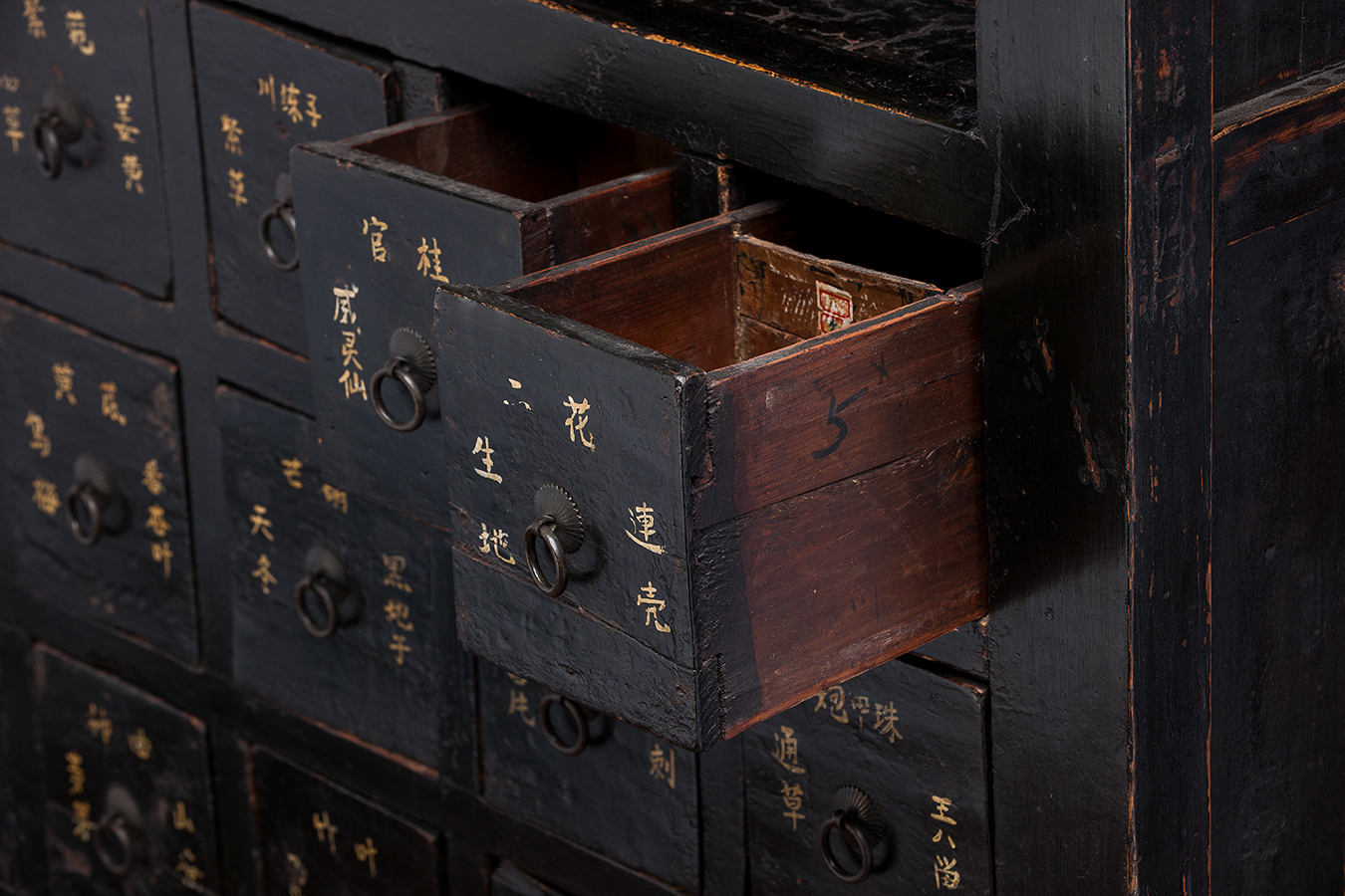 Dark Lacquered Chinese Medicine Mecox Gardens