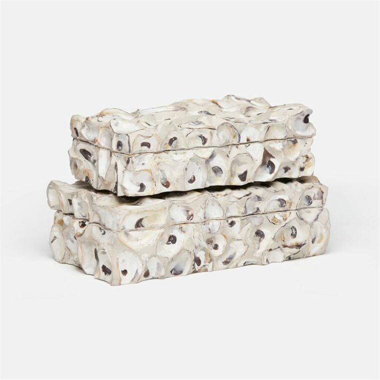 Natural Oyster Shell Boxes
