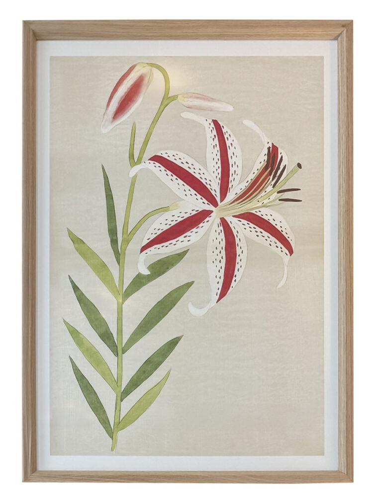 Coloured Lilies Reproduction Prints - Image 3