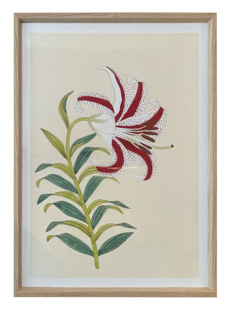 Coloured Lilies Reproduction Prints - Image 4
