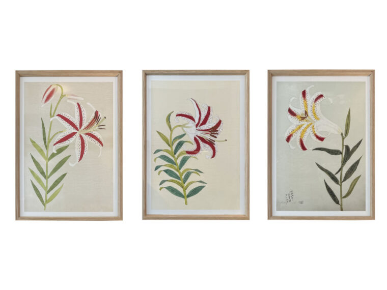 Coloured Lilies Reproduction Prints - Image 6