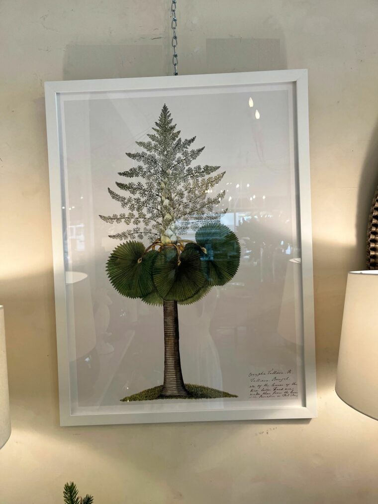 Palm Tree Framed Print 2 - Image 2