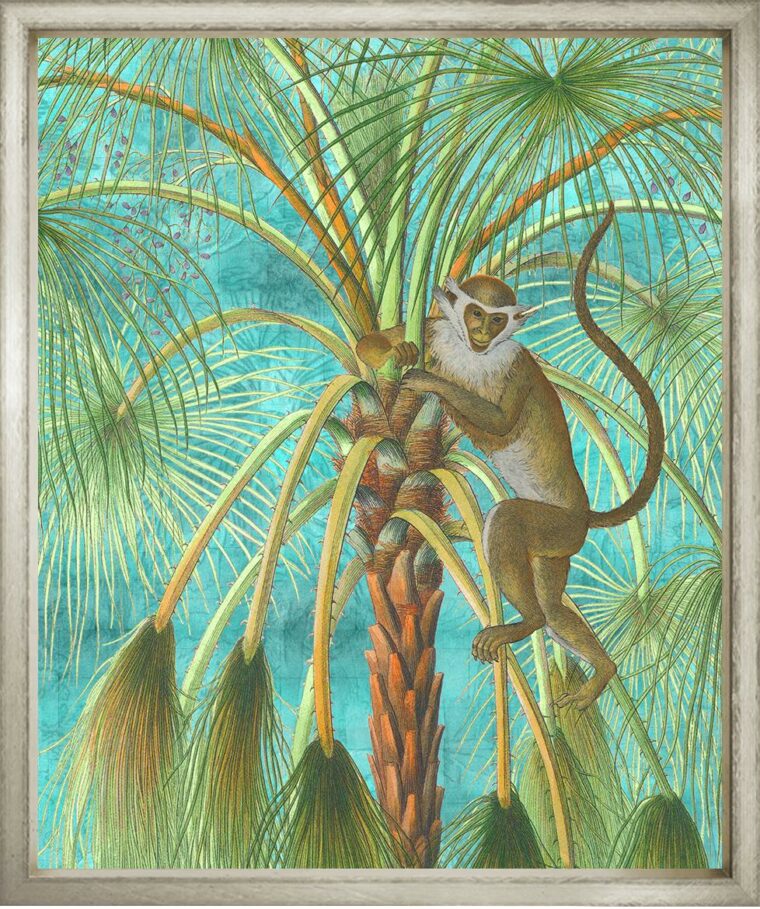 Patas Monkey on Turquoise Reproduction Print