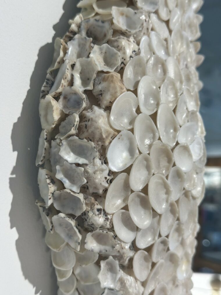 Intricate Shell Mirrors with Undulating Edge - Image 6