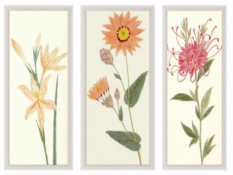 Hubbard Flower Reproduction Print