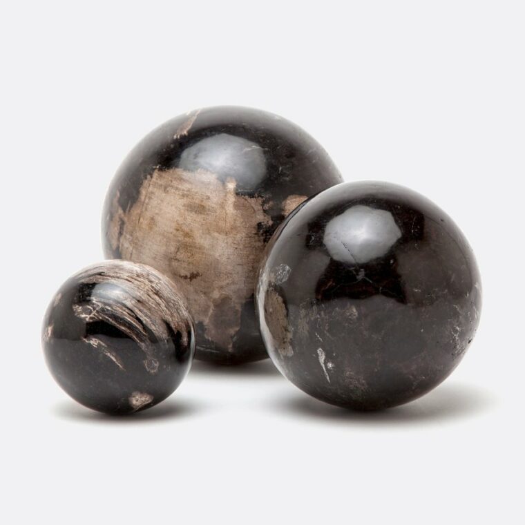 Petrified Wood Spheres