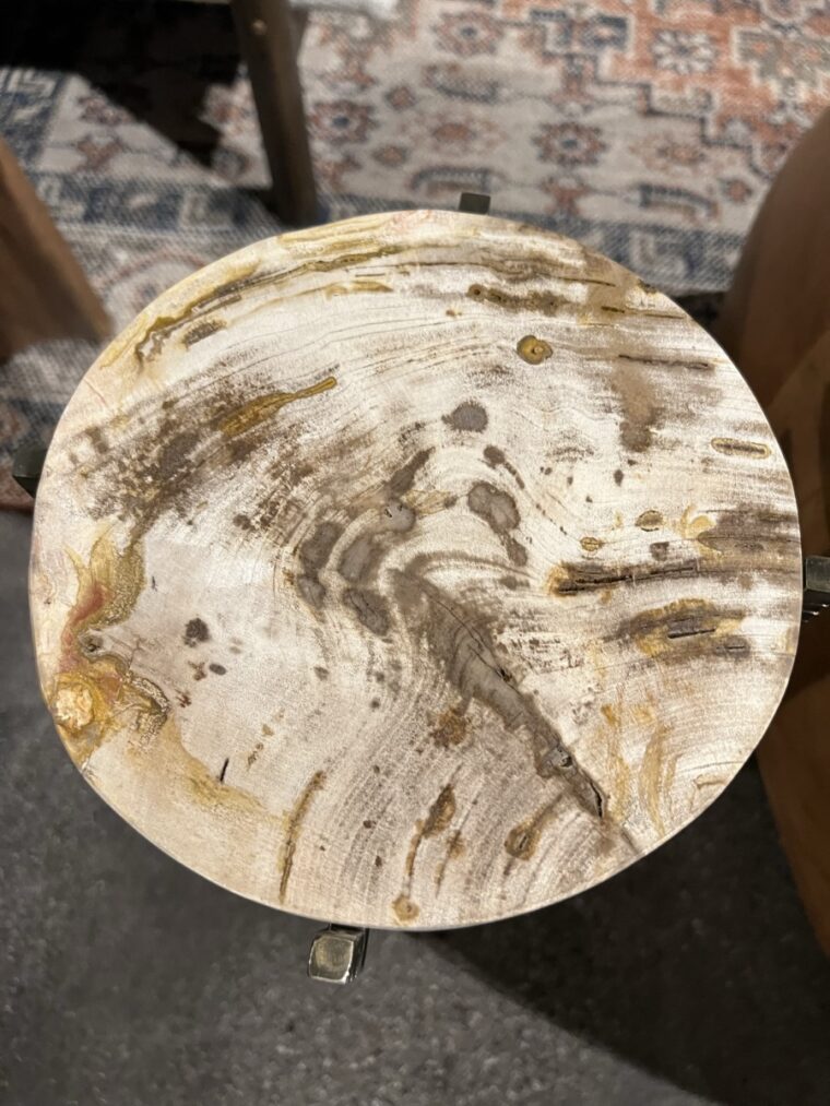 Petrified Wood Round Drinks Side Table