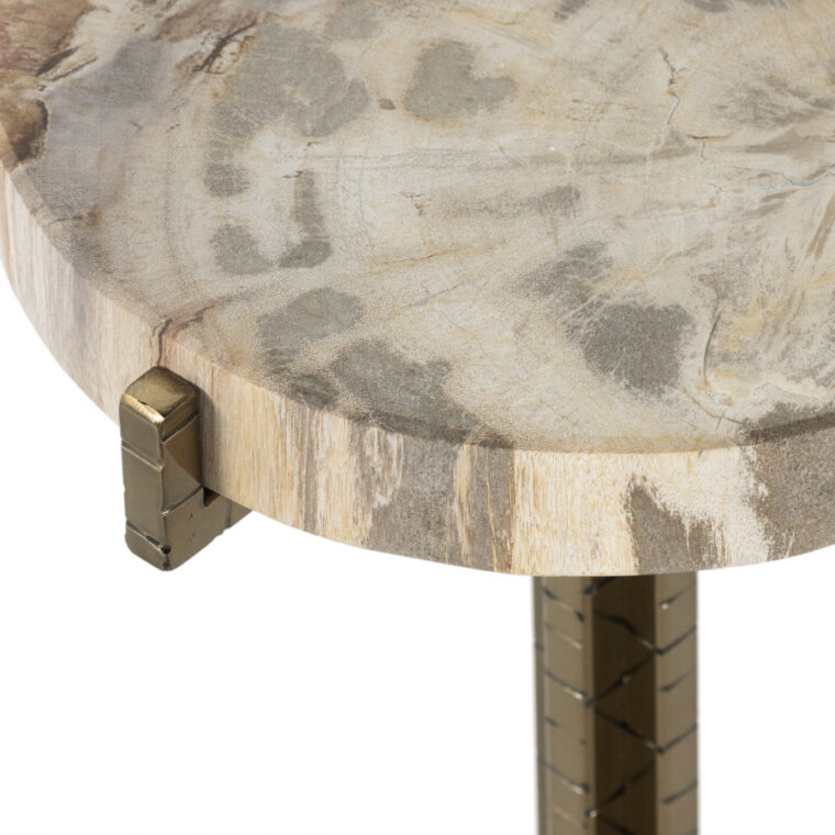 Petrified Wood Round Drinks Side Table