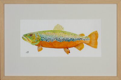 Colorful Fish Reproduction Print