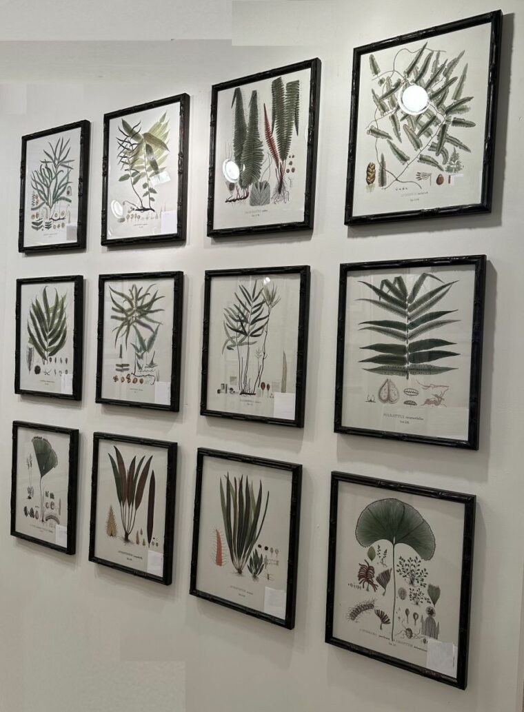 Botanical Fern Reproduction Print
