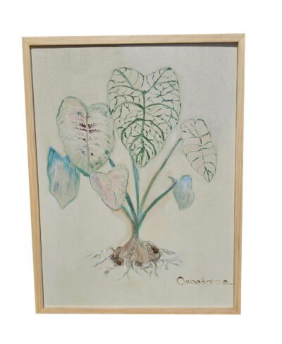 Caladium Flowers Original Art