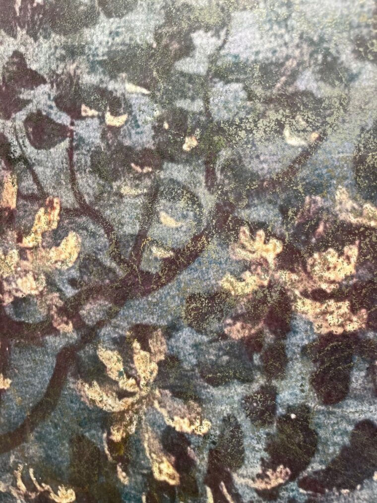 Nature Illustration Reproduction Art