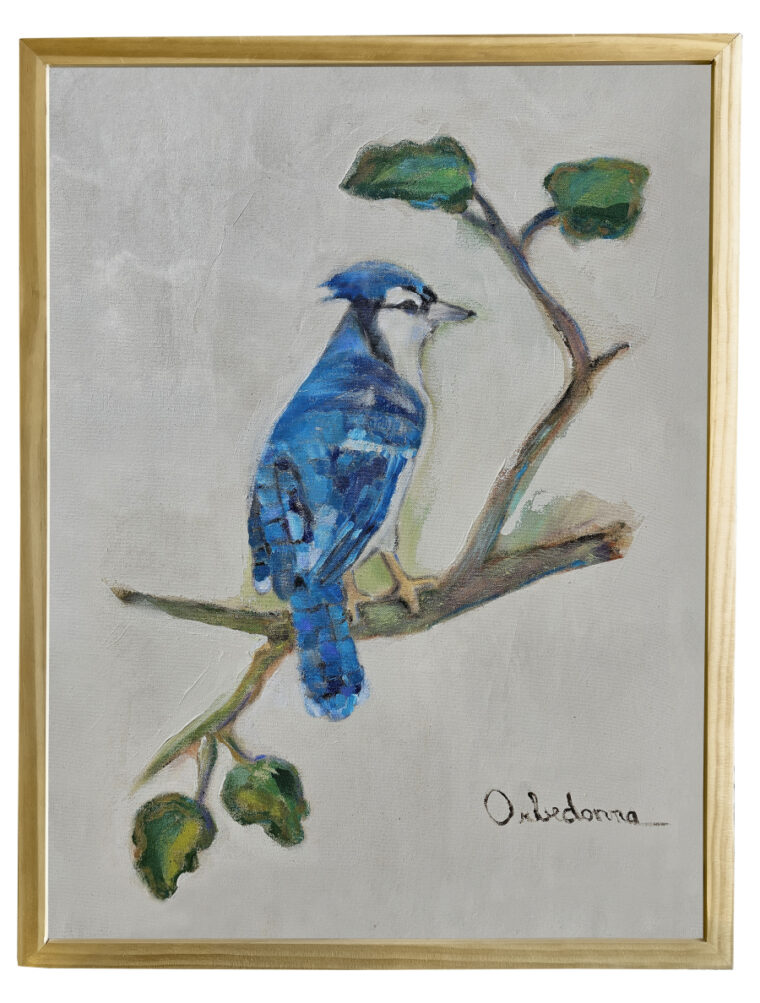 Bluejay on Oak Branch Original Art