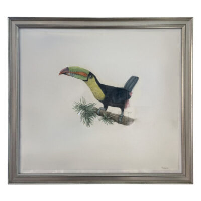Toucan 2 Original Art