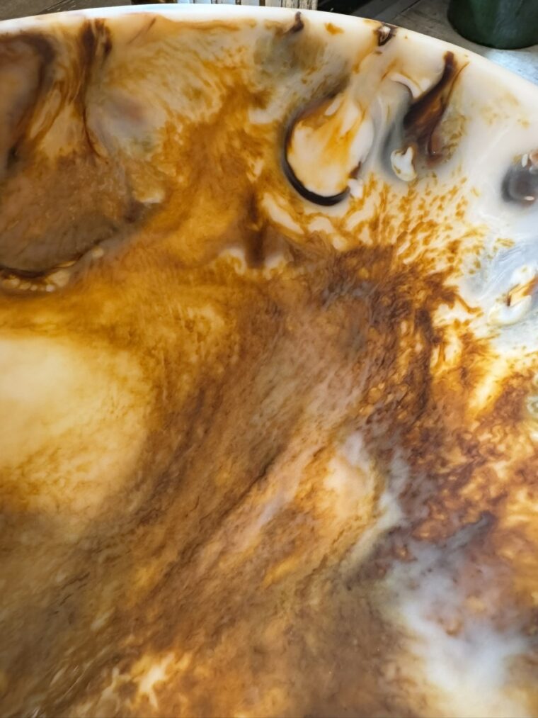 Large Tortoise Resin Fruit Bowl - Image 3